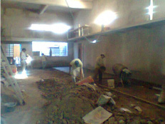 2006